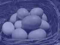 http://www.powerpointbackgrounds.com/templates/all-the-eggs-in-one-basket-01.JPG